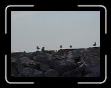 DSC00050 * 1280 x 960 * (513KB)